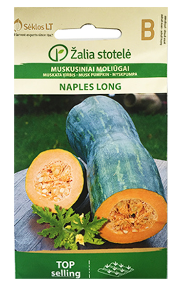 Ķirbji muskata NAPLES LONG 1.5g