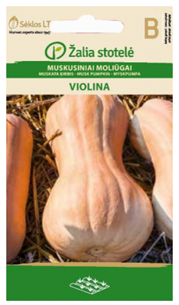 Ķirbji muskata VIOLINA 2g