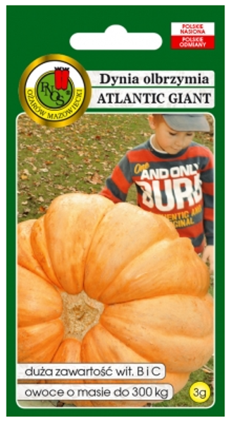 Ķirbis Atlantic Giant 3g