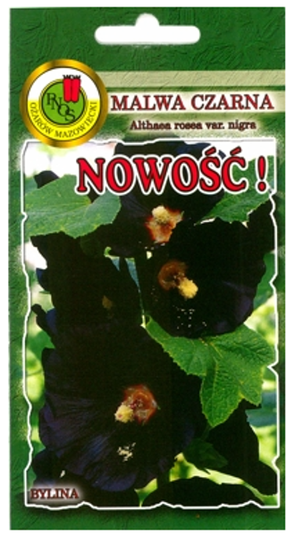 Kāršroze parastā Nigra 1g