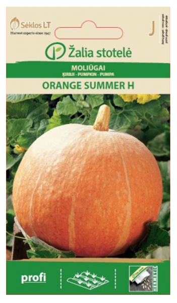 ĶIRBJI ORANGE SUMMER H 5s