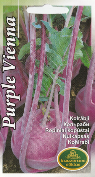 Kolrābji Purple Vienna
