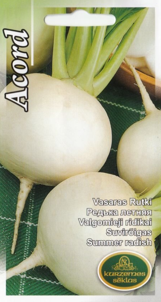Rutki Acord