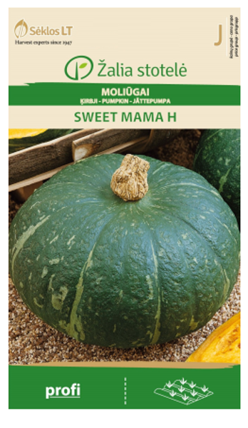 Ķirbji SWEET MAMA H 5s
