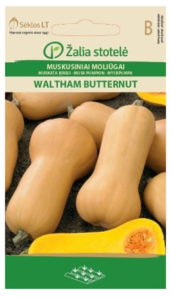 Ķirbji WALTHAM BUTTERNUT 2g