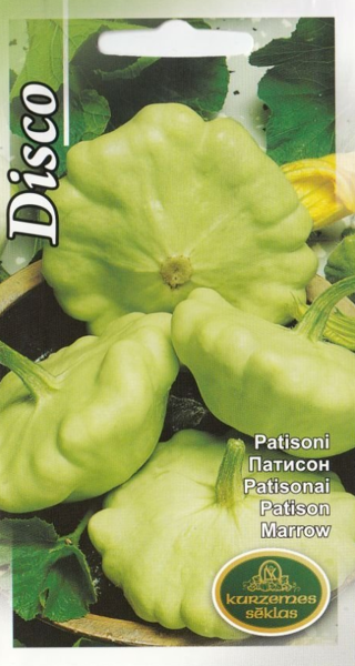 Patisoni Disco