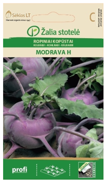 Kolrābji MODRAVA H 0.5g