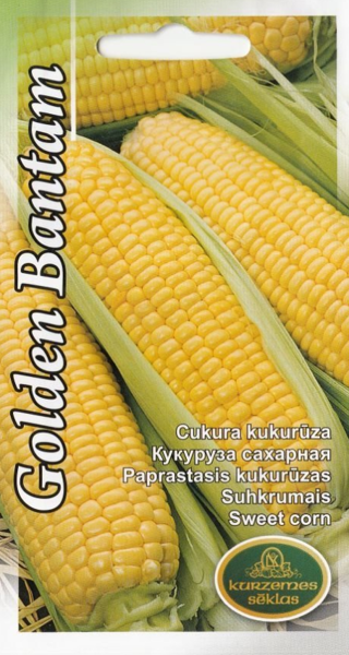 Kukurūza Golden Bantam