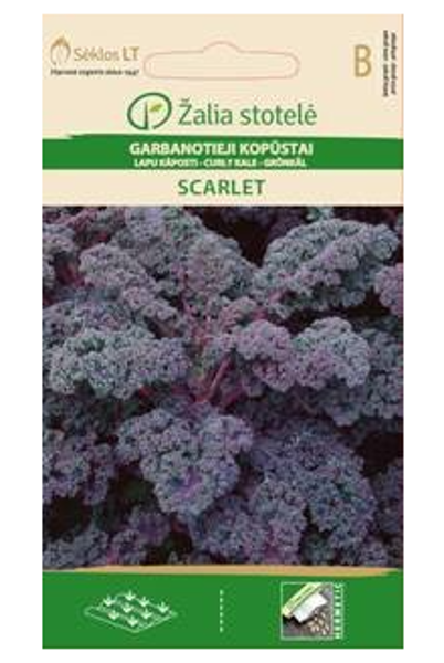 Lapu kāposts SCARLET 0.5g