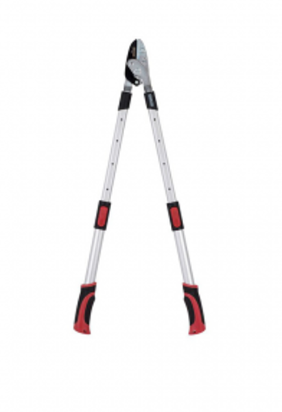 Dārza grieznes 595-810mm, sausiem zariem, līdz Ø39mm