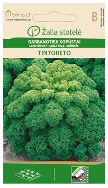 Lapu kāposti TINTORETO 1g