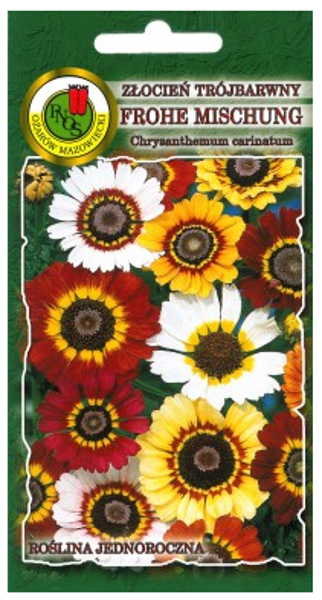 Krizantēma ķīļveida FROHE MISCHUNG 1g