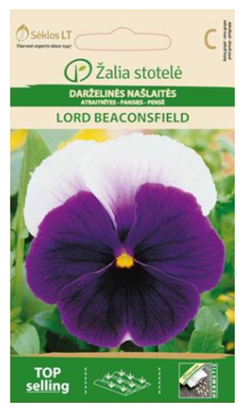 Atraitnītes LORD BICONSFIELD