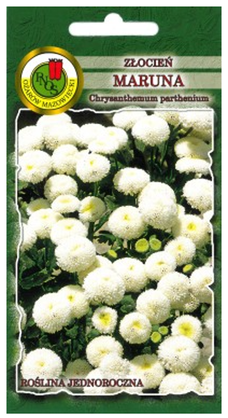 Krizantēma zeltpīpenīšu Maruna 0.3g