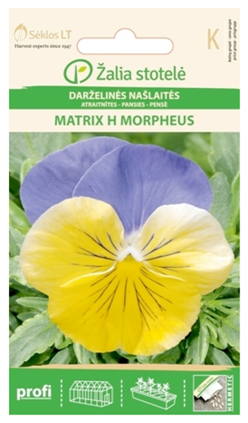 Atraitnītes MATRIX H MORPHEUS 20s