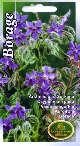 Ārstniecības gurķene