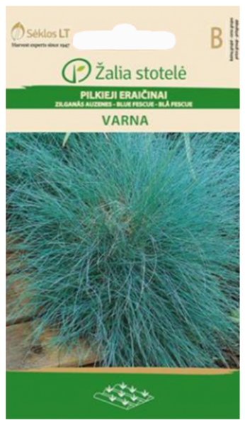 Auzene zilganā VARNA 0.5g