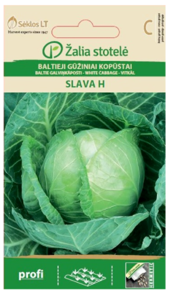 Baltie galviņkāposti Slava