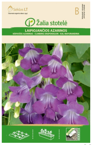 Azarinas kāpjošās 8s