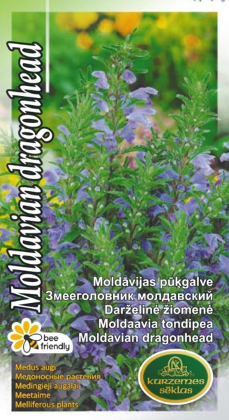 Moldāvijas pūkģalve