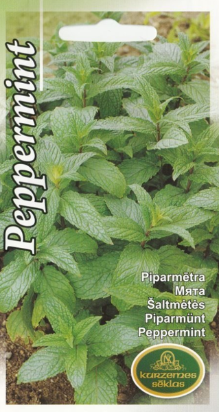 Piparmētra
