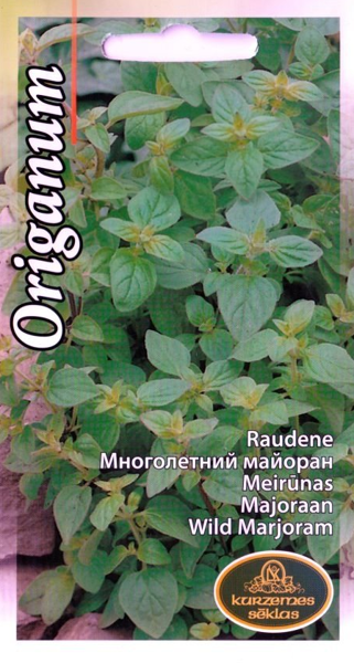 Raudene