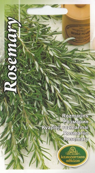 Rozmarīns
