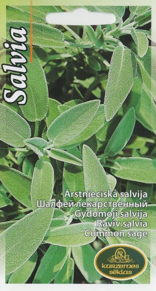 Ārstnieciskā salvija