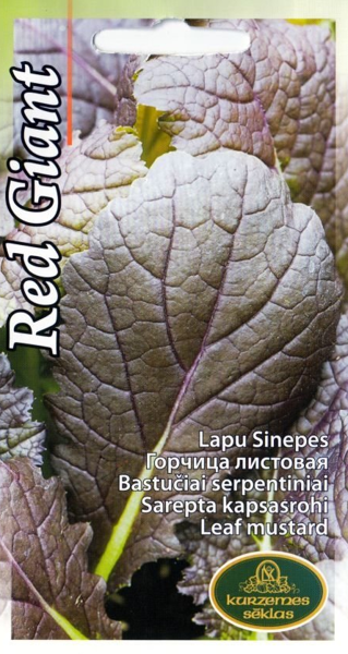 Sinepes Red Giant