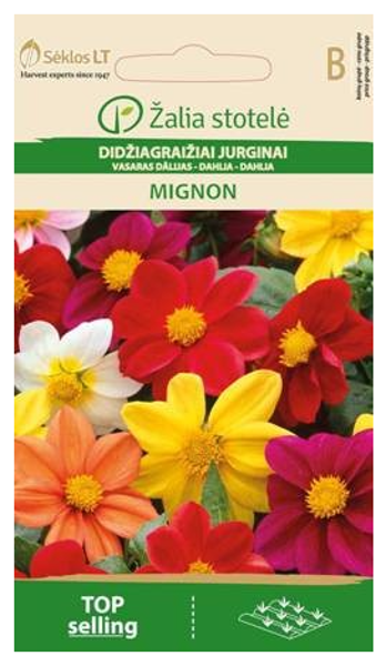 Dālijas vasaras MIGNON 1.5g