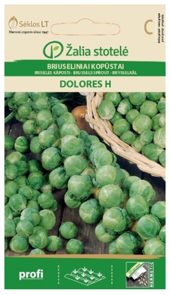 Briseles kāposti DOLORES H 1g