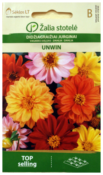 Dālijas vasaras UNWIN 0.3g