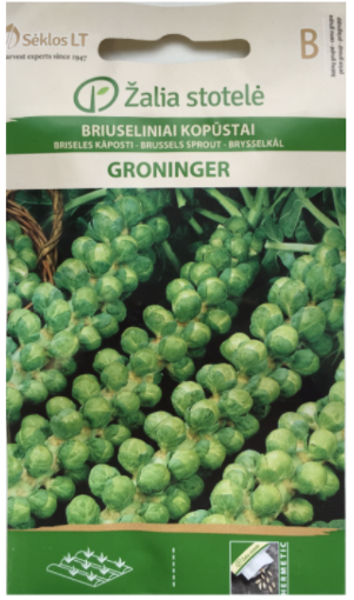 Briseles kāposti GRONINGER 1g