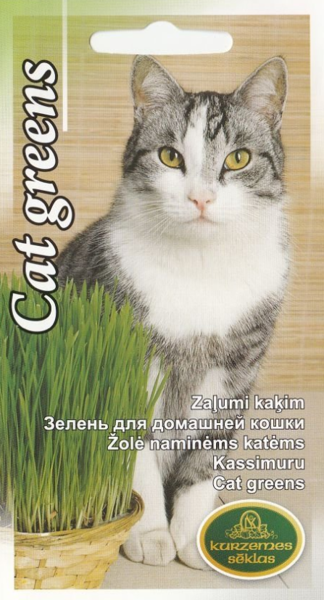 Zaļumi kaķim