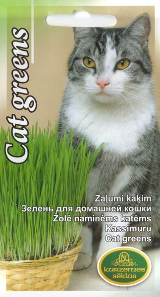  Zaļumi kaķim - Daudzziedu airene