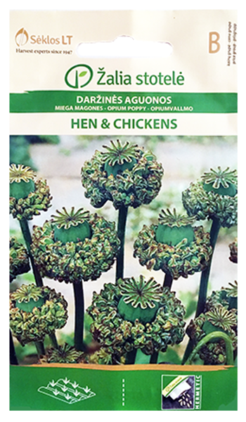 Magones ''HEN & CHICKENS"