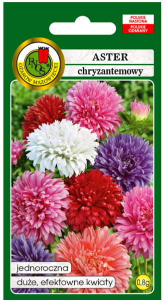 Asteres krizantēmu Mix 0.8g