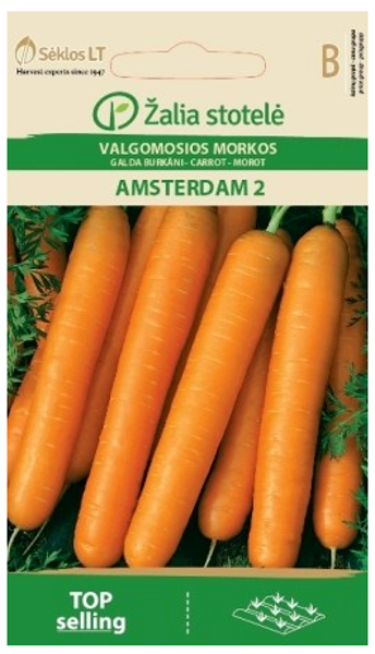 Burkāni AMSTERDAMMER 2 3g