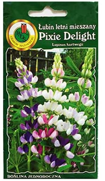 Lupīnas hartvega Pixie Delight 5g