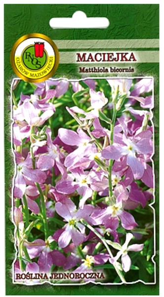 Matiola divragu 3g