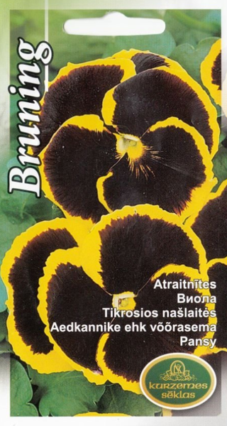 Atraitnītes Bruning