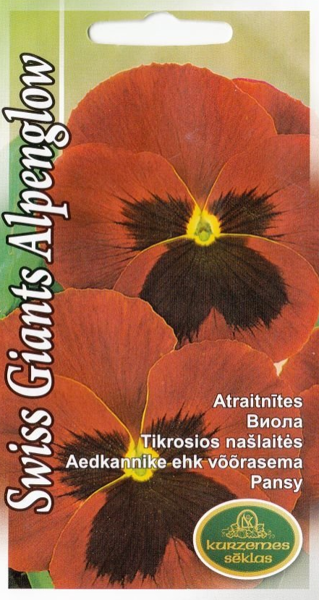  Atraitnītes Swiss Giants Alpenglow