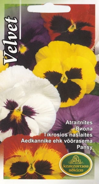 Atraitnītes Swiss Giants Velvet