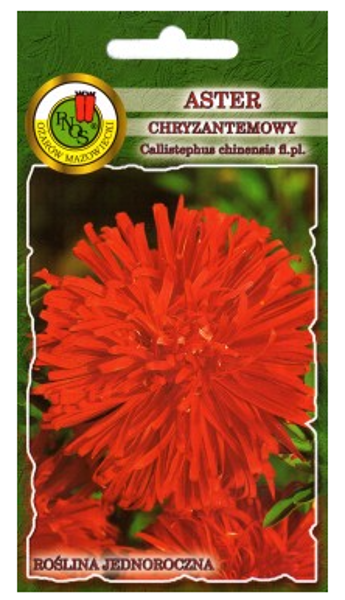 Asteres krizantēmu Sarkanas 0.8g