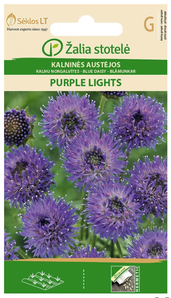 Kalnu norgalvītes PURPLE LIGHTS 0.3g