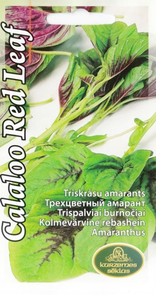 Amaranti Calaloo Red Leaf