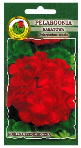 Pelargonija zonālā sarkana 10s