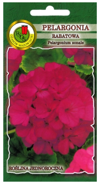 Pelargonija zonālā violēta 10s