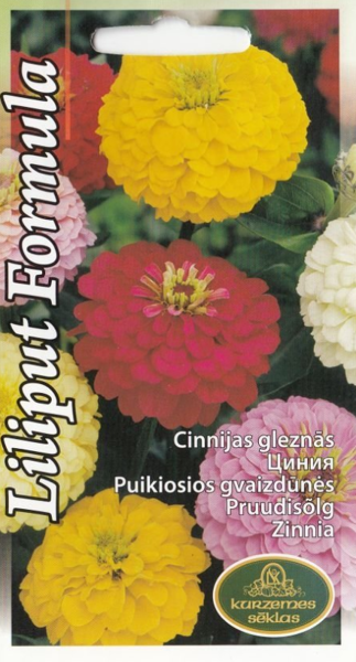 Cinnijas Liliput Formula