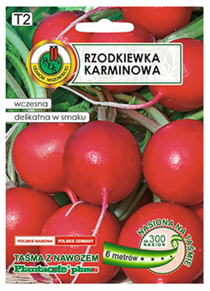 Redīsi Karminowa (uz letes) 6m